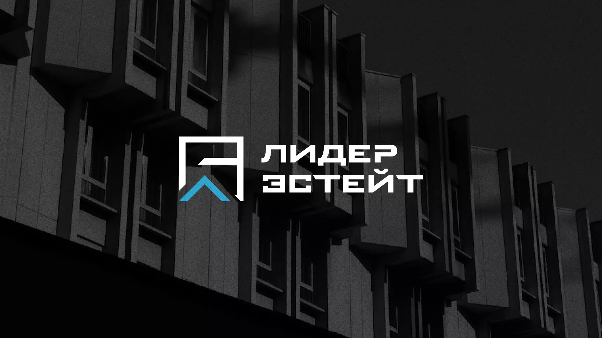 Разработка логотипа агентства недвижимости «Лидер Эстейт» в Бугульме